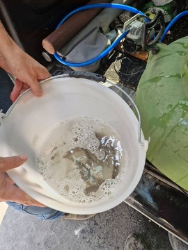 Photo 11. 6. 25, 10 06 02 (30) (1)